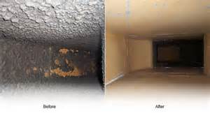 Forest Carpet and Air Duct Cleaning